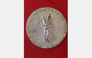 Récompenses municipales