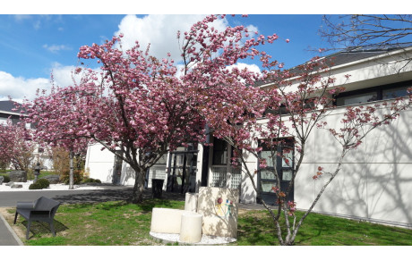 Joyeux printemps